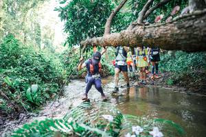 BIB: 
                            <button type="button" onclick="openModal(25474981)" class="btn btn-primary btn-sm float-right btn-popup" data-toggle="modal" data-target=".modal-high-quality">
                        <i class="fas fa-shopping-cart"></i> Add to Cart
                    </button>
                                            <button type="button" onclick="isThisMe(25474981, true)" class="btn btn-success btn-sm float-right btn-popup btn-isme hidden" data-toggle="tooltip" data-placement="bottom" title="นี่คือรูปของคุณใช่ไหม คลิกที่นี่เพื่อเอาเข้าอัลบั้ม">
                        <i class="fas fa-plus"></i> Add to album
                    </button>
                    <button type="button" onclick="isThisMe(25474981, false)" class="btn btn-warning btn-sm float-right btn-popup btn-isnotme hidden">
                        <i class="fas fa-ban"></i> Remove from album
                    </button>